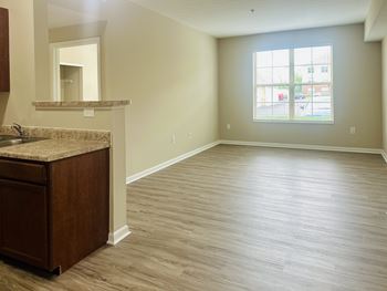 New full luxury wood vinyl plank flooring*